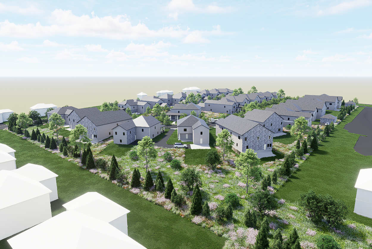 Development Perspective