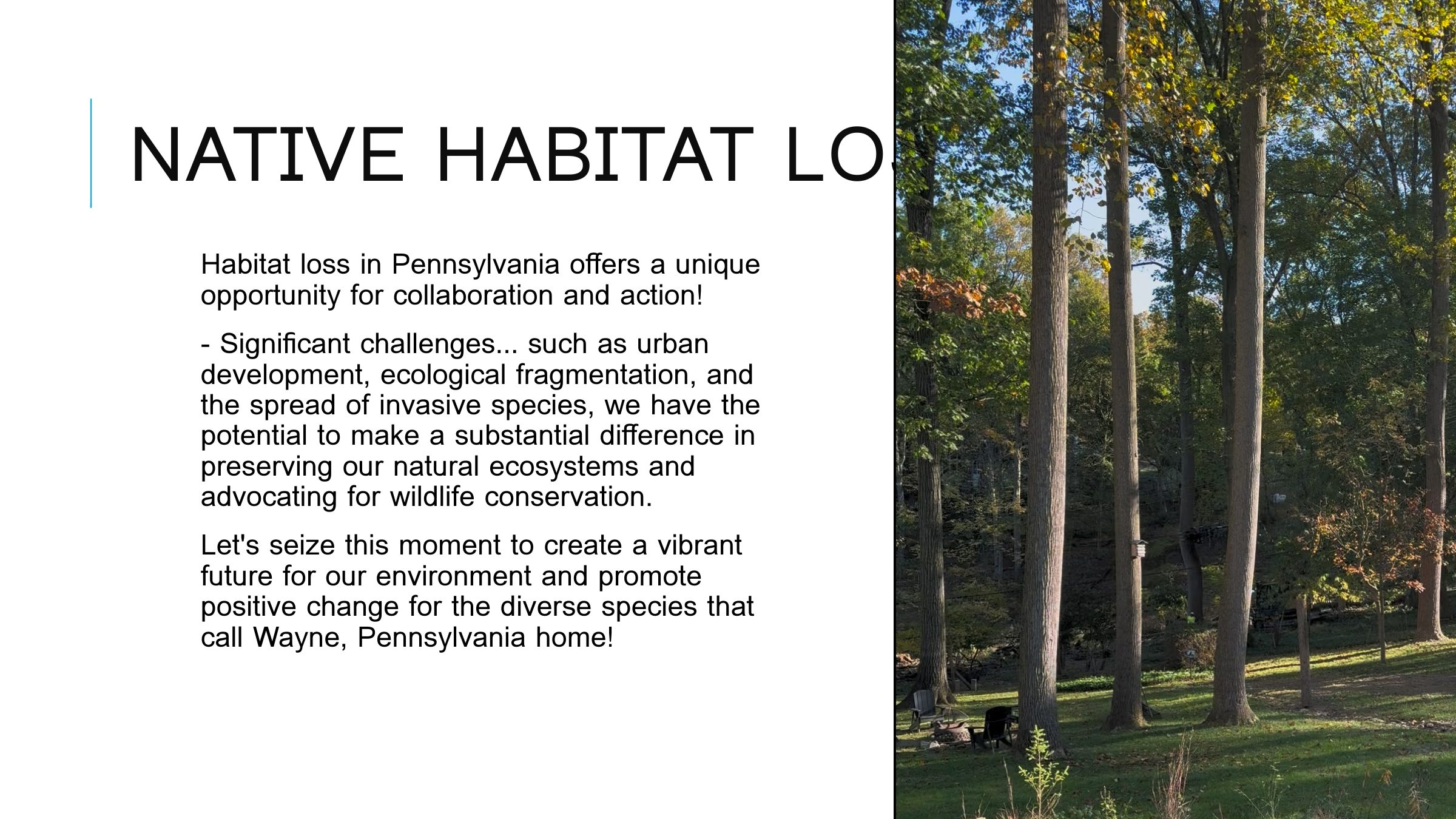 Slide 3
